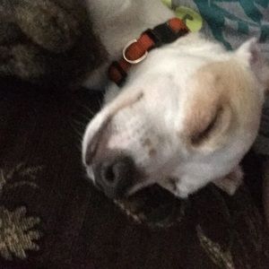 Meet your Posher, Isaac